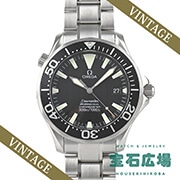 シーマスター プロフェッショナル