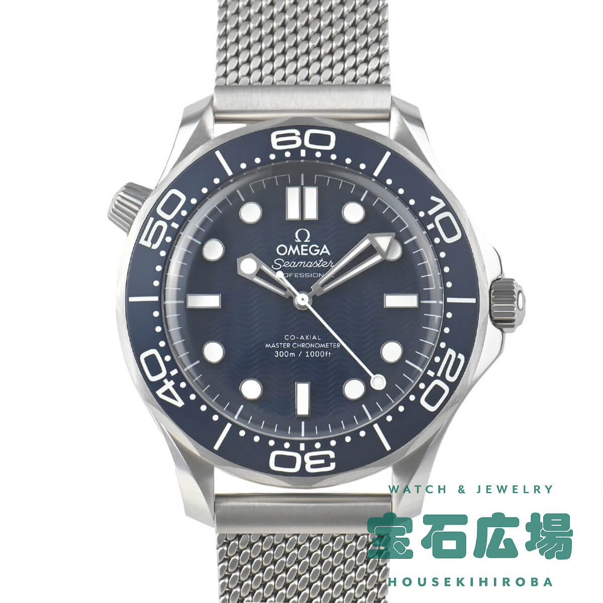 �V�[�}�X�^�[ �_�C�o�[300M �{���h�f��60���N�L�O���f��