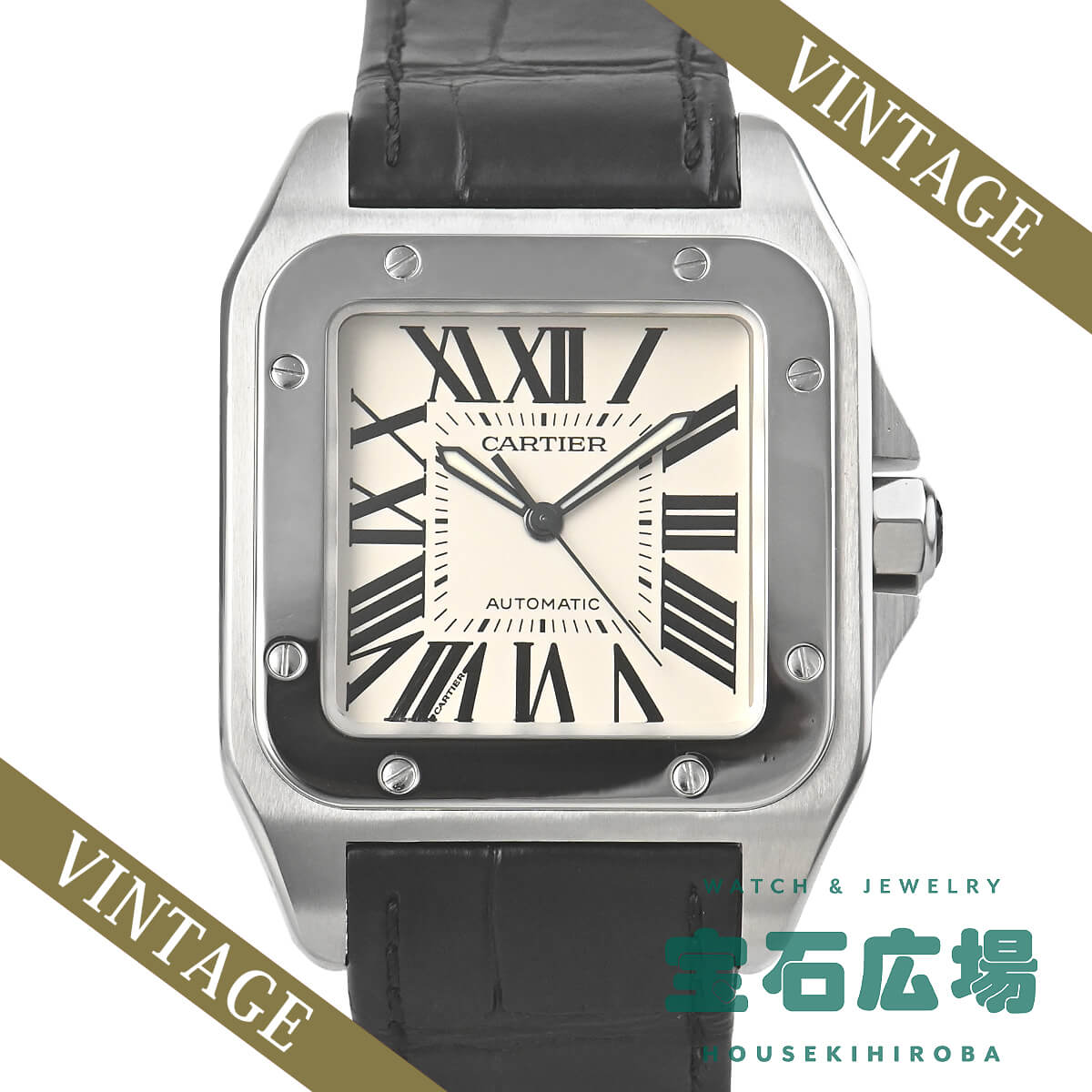 �T���g�X100 LM