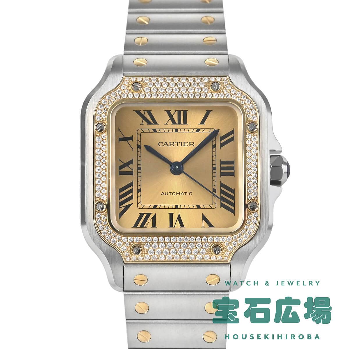 �T���g�X �h�D �J���e�B�G MM