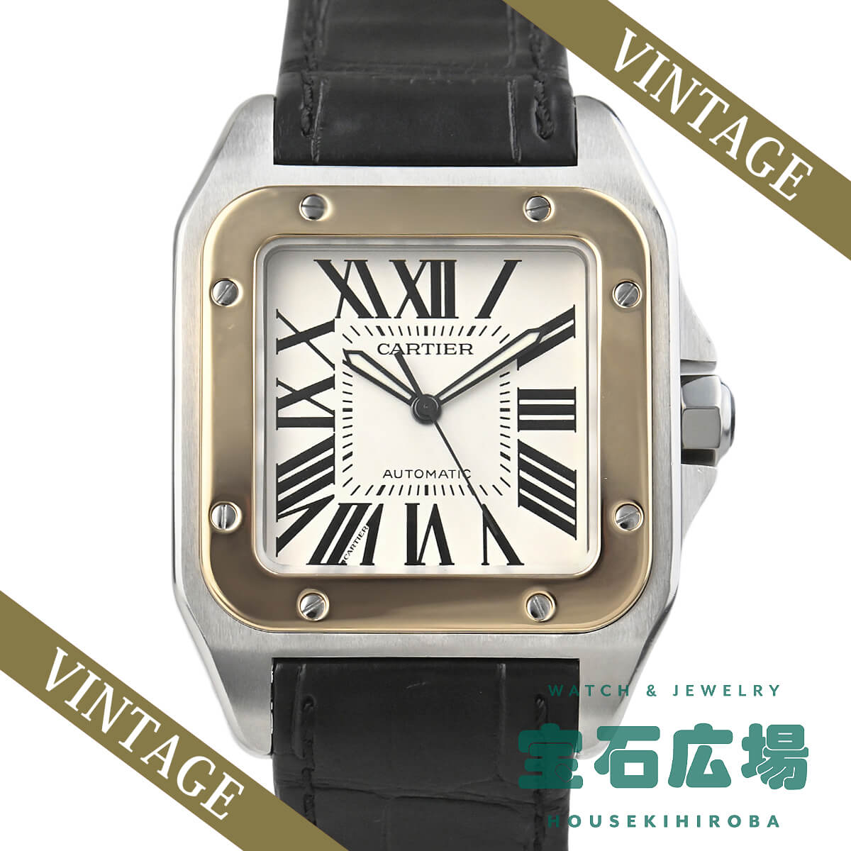 �T���g�X100 LM