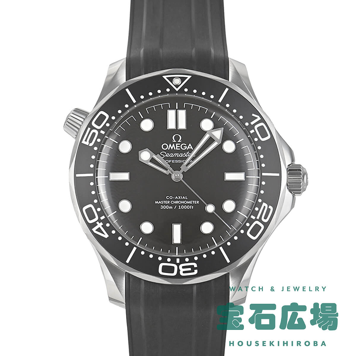 �V�[�}�X�^�[ �_�C�o�[300M