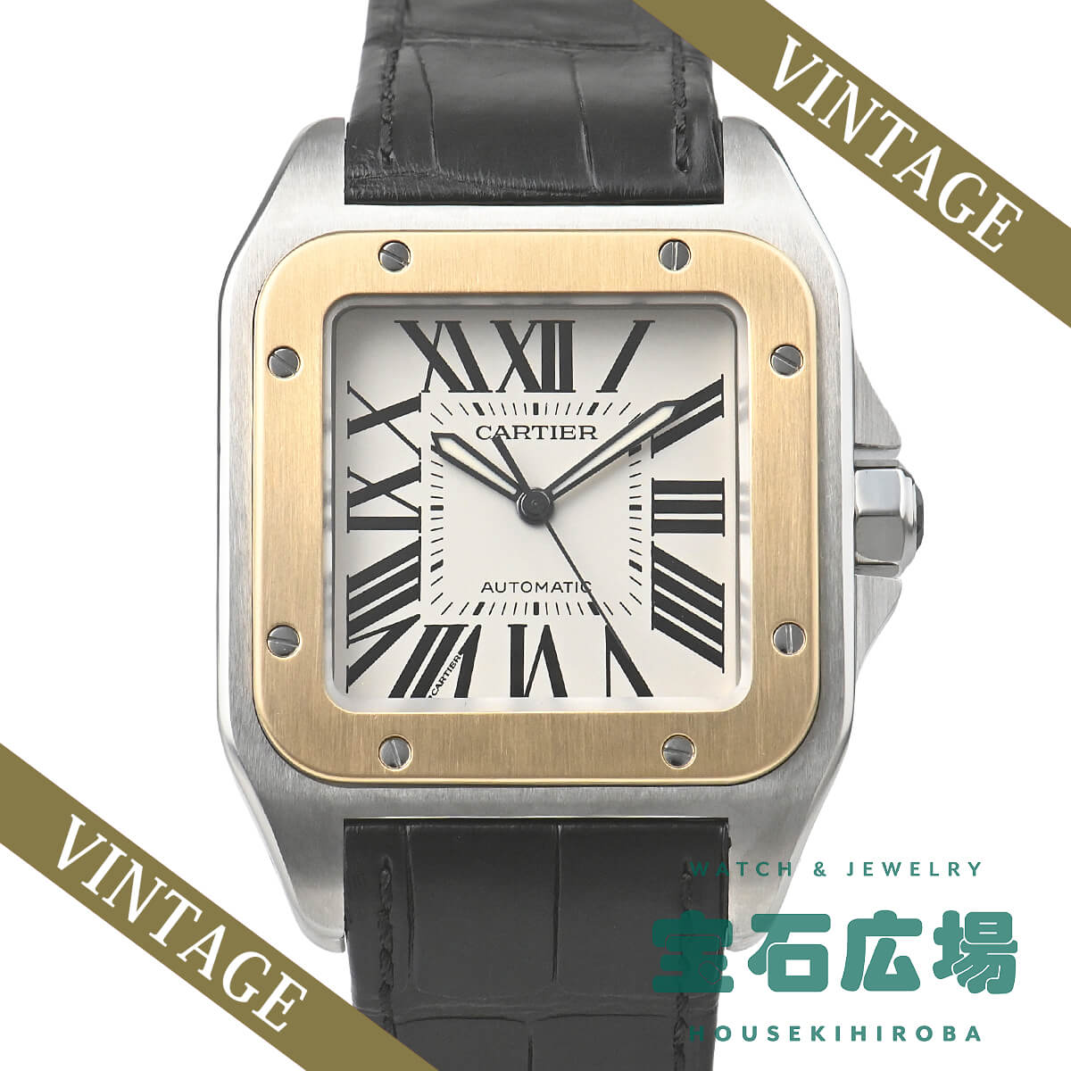 �T���g�X100 LM