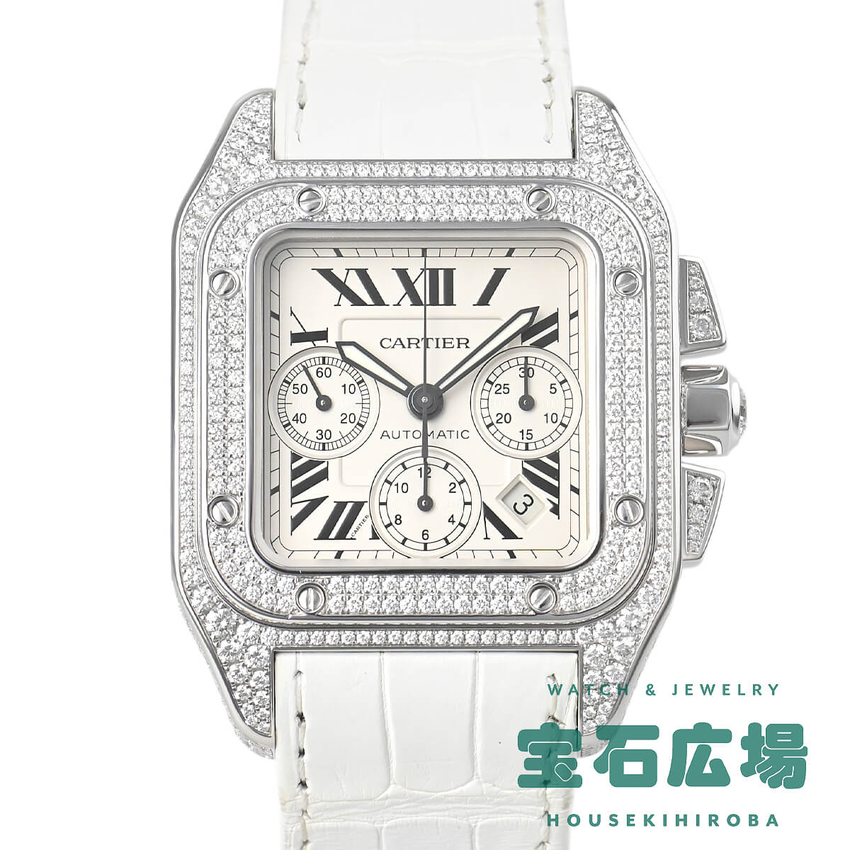 �T���g�X100 �N���m