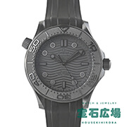 V[}X^[ _Co[300M ubN ubN