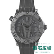 V[}X^[ _Co[300M ubN ubN