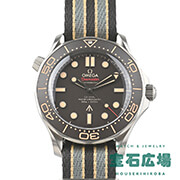 V[}X^[ _Co[300M 007GfBV