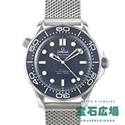 �V�[�}�X�^�[ �_�C�o�[300M �{���h�f��60���N�L�O���f��