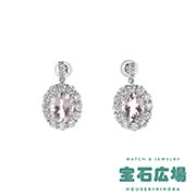 �����K�i�C�g�E�_�C�� �h���b�v�s�A�X