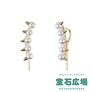 �f�C���W���[ �v���X 5P�p�[�� �t�b�N�s�A�X