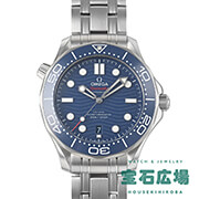 �V�[�}�X�^�[ �_�C�o�[300M