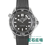 �V�[�}�X�^�[ �_�C�o�[300M