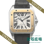 �T���g�X100 LM