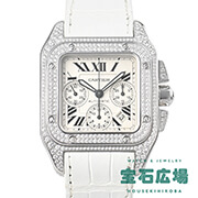 �T���g�X100 �N���m