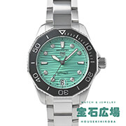 ANA[T[ vtFbVi300 Lo[5